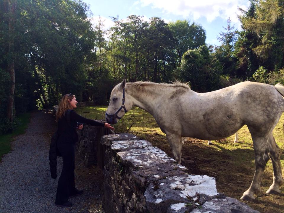 Kristen Gill Connemara Pony Ireland