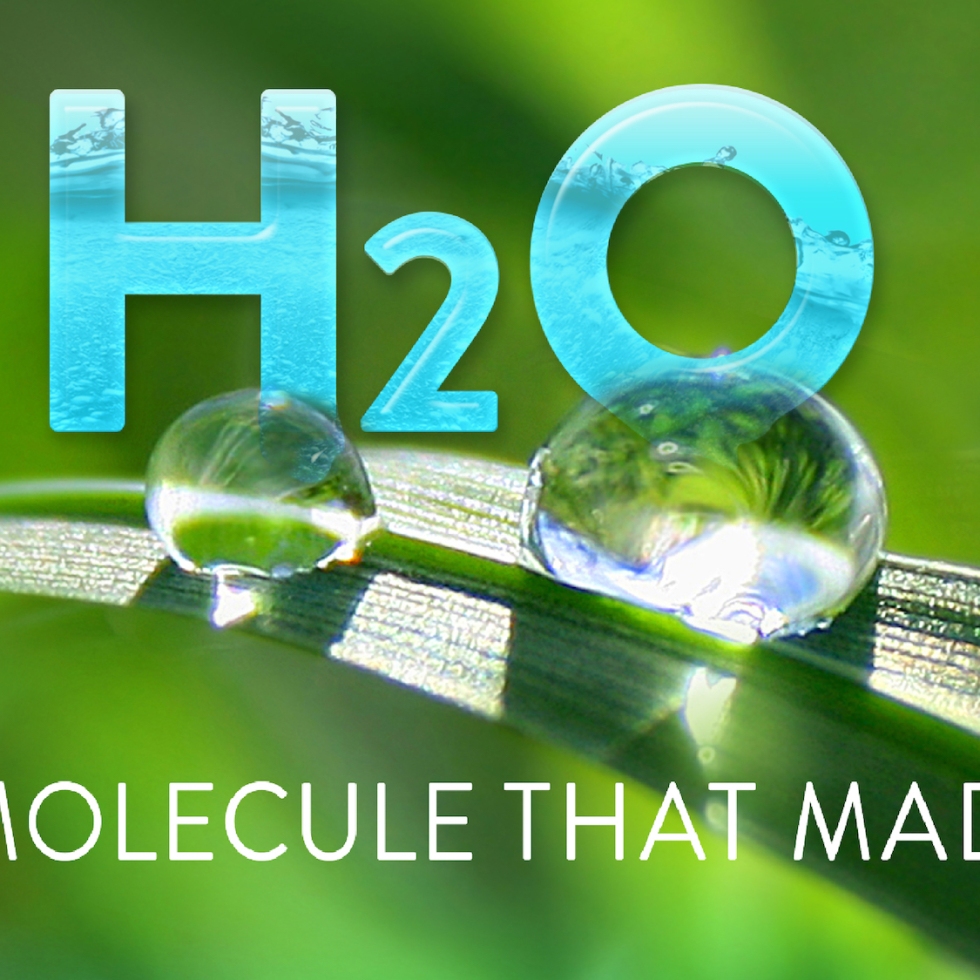 PBS new documentary for Earth Day 2020: H2O The Molecule That Made Us.